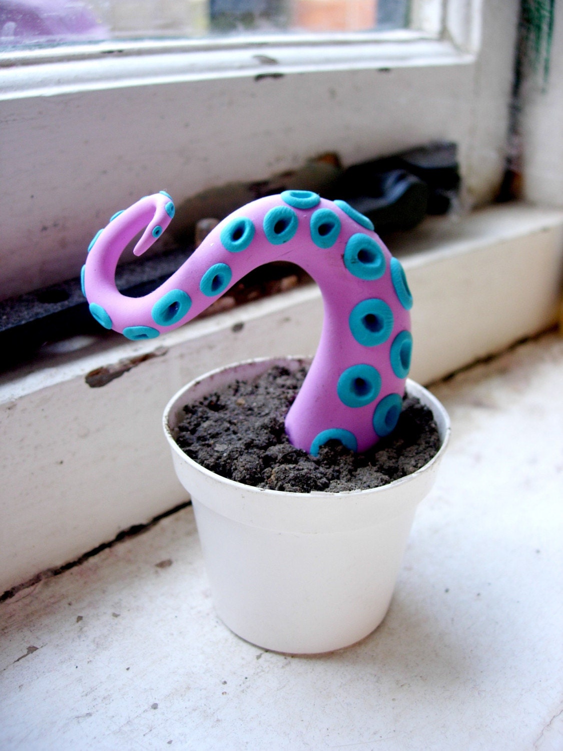 Tentacle Plant - pink and blue