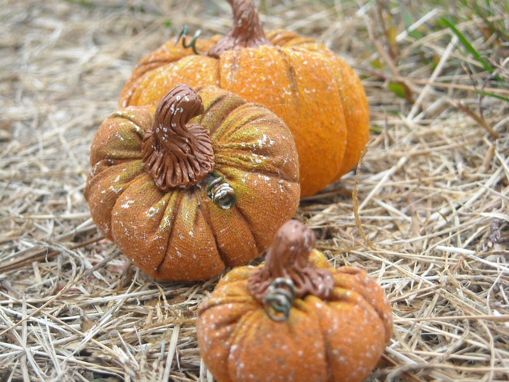 Stuffed Pumpkin Whatnots- The Pumpkin Patch