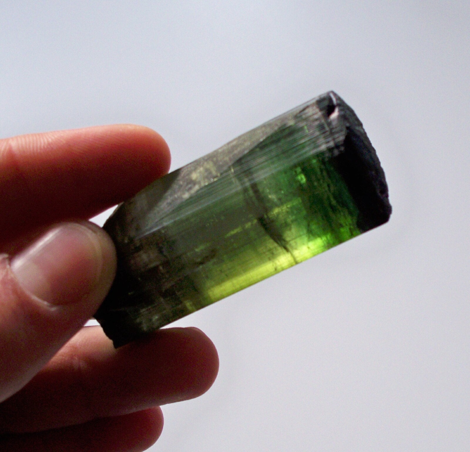 Cleansed. Emerald Green and Forest Green Himalaya Tourmaline California. Gemmy. 64 grams. Free Shipping.