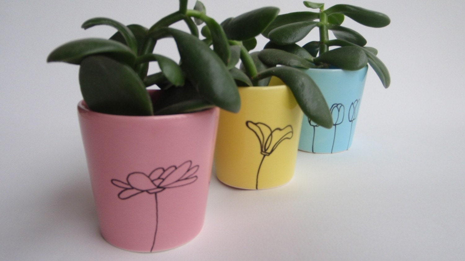 Hand Painted Set of 3 Mini Flower Pots with Hand Sketched Foliage Series Designs