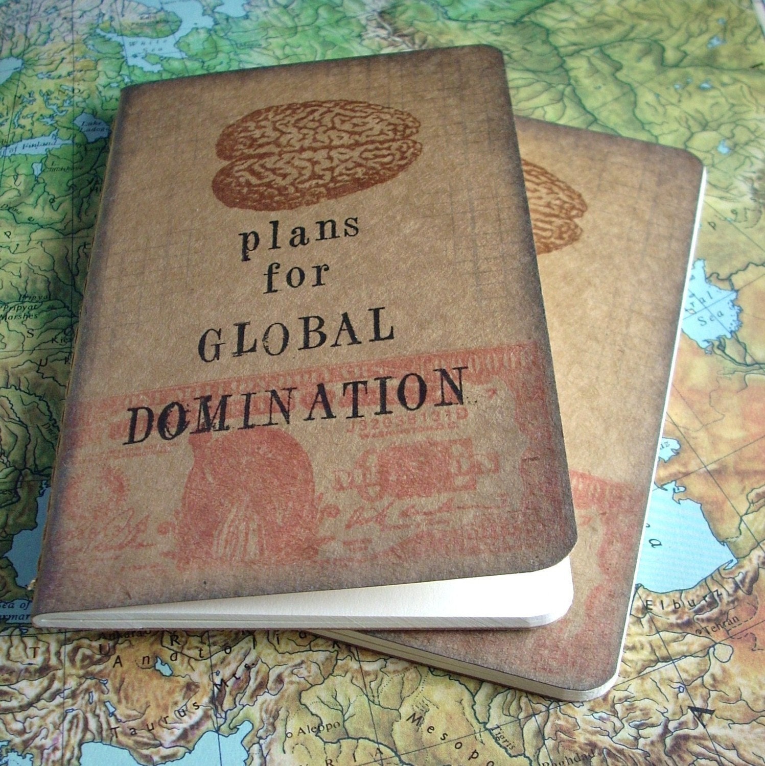 Plans for global domination pocket moleskine cahier - Squared paper