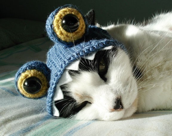 knit cat hat