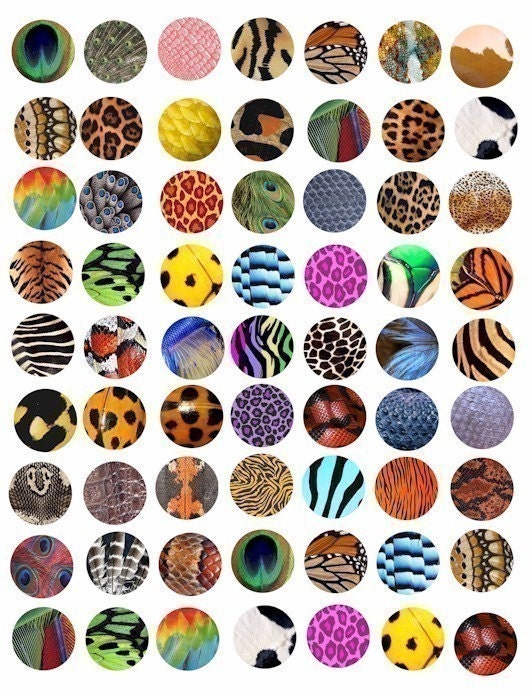 animal patterns in art. patterns clip art digital