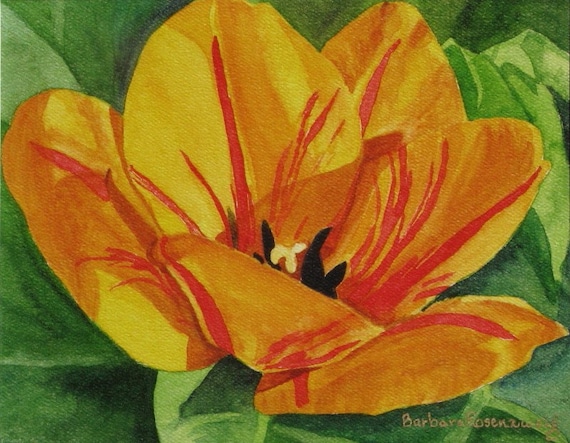 Yellow Tulip Flower Art: Stretched Canvas Giclee 20x30