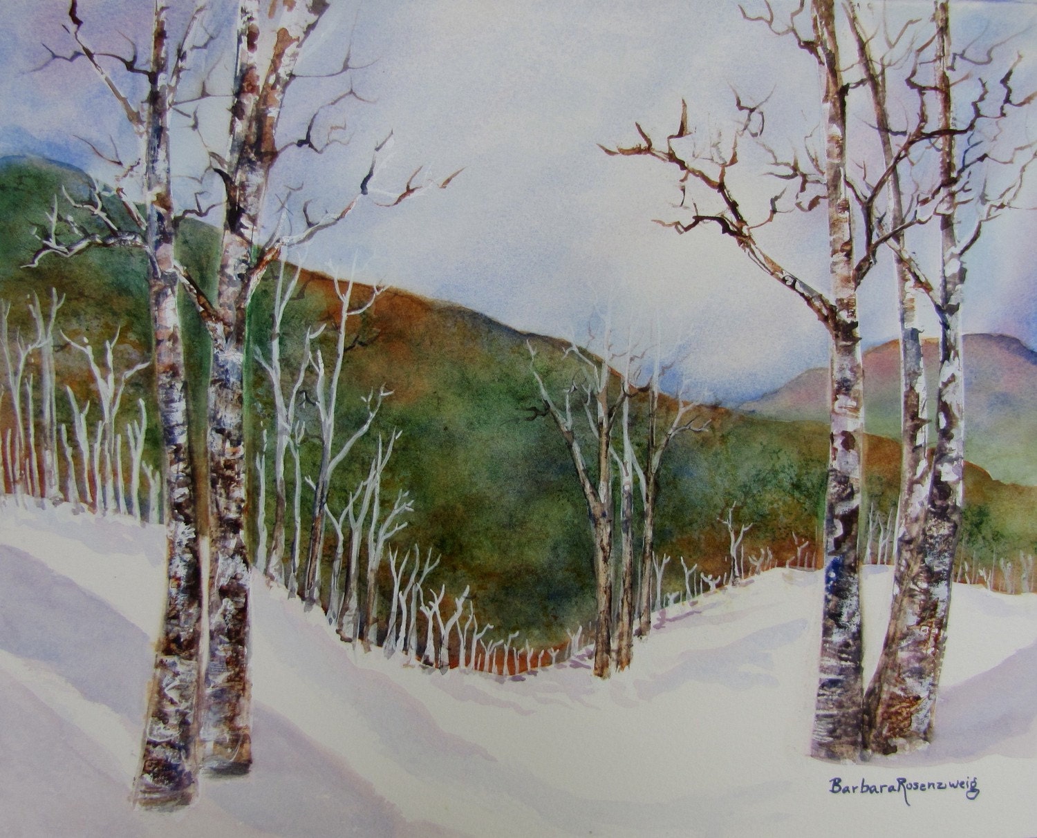 Original Birch Trees in Snow of Winter Landscape Art: Watercolor Painting 11x14