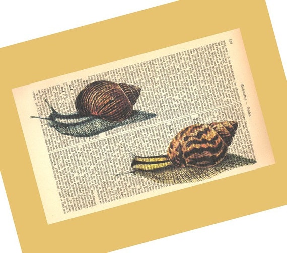 Snail Race Illustration Print on Antique 1896 Dictionary Book Page  FREE WORLDWIDE SHIPPING