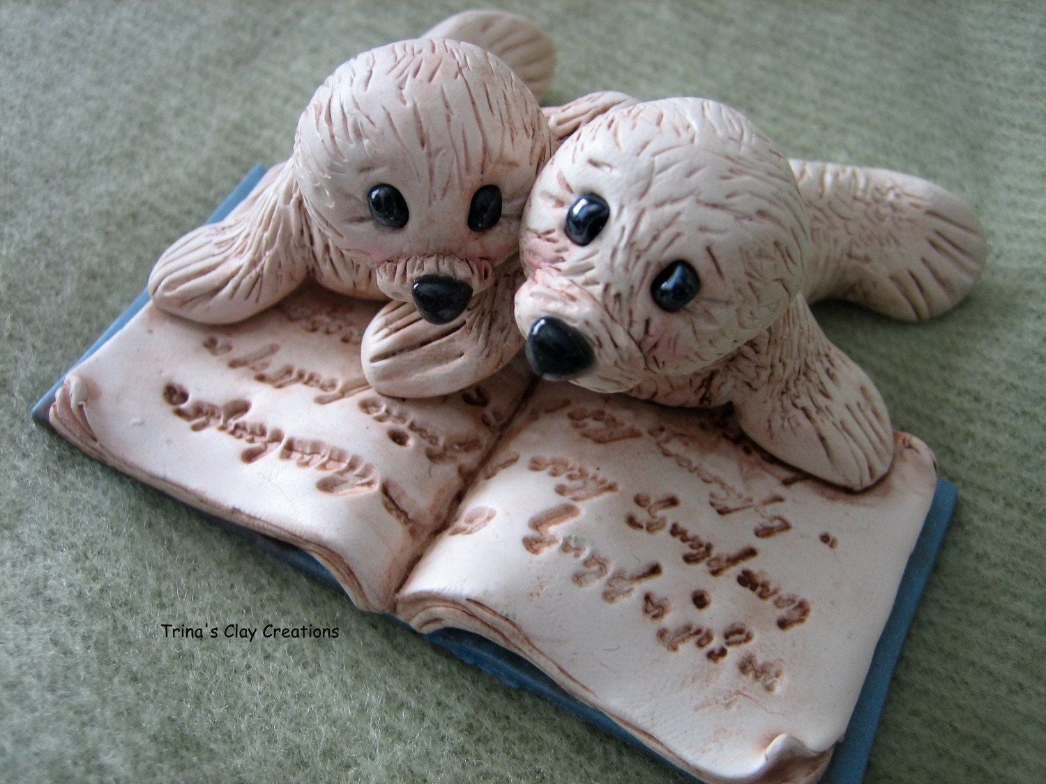 Two Little Seals Reading A Book