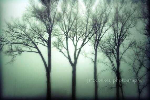 Buy 1 Get 1 FREE Sale Trees on a Foggy Morn 8x12 Fine Art Photograph fathers day graduation gift