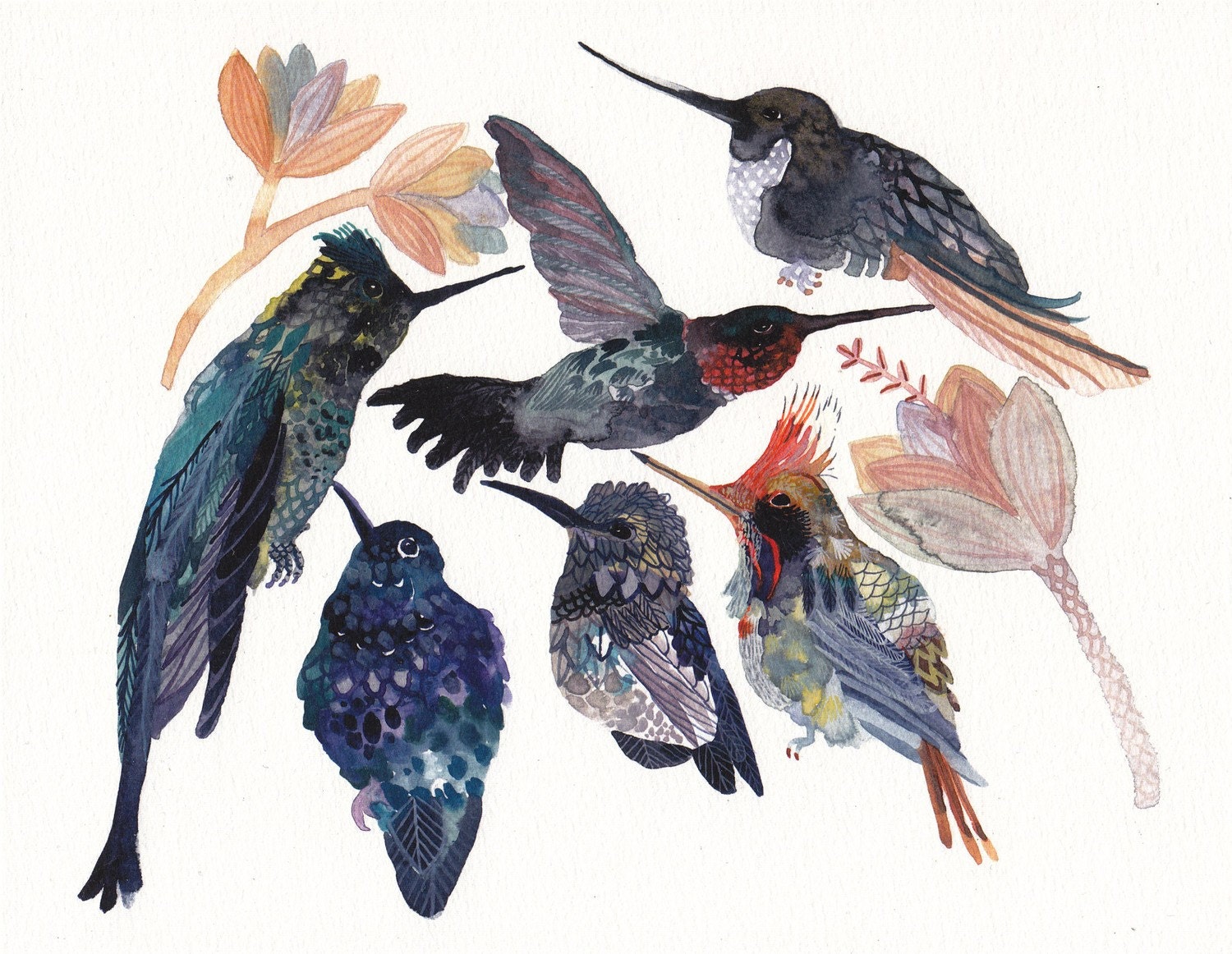 Hummingbirds and Succulent Blossoms- Archival Print