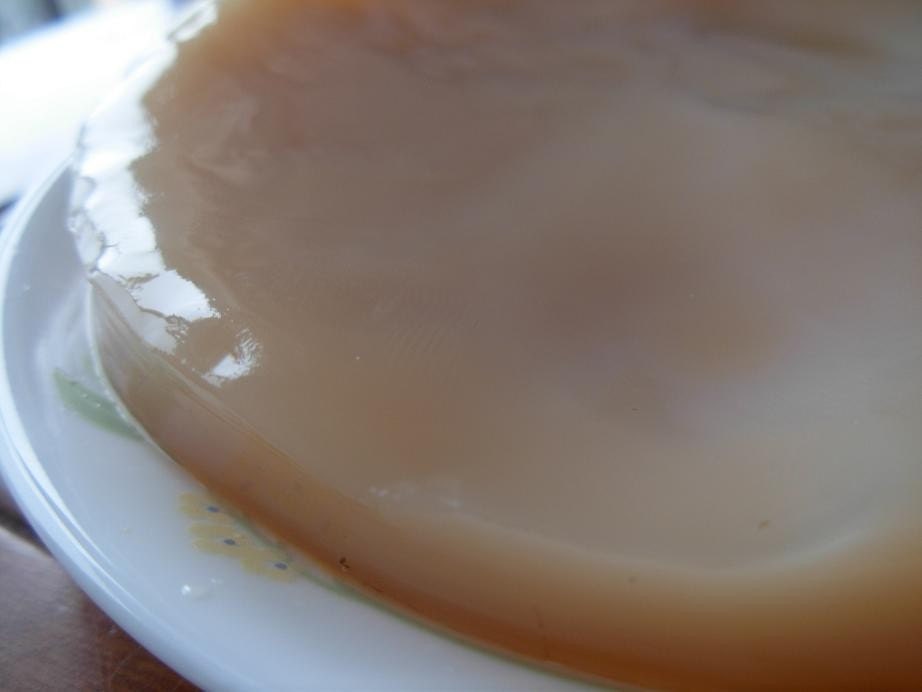 Baby Scoby