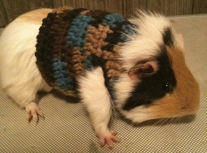 Guinea Pig Sweater Custom Orders