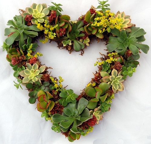 Valentines Heart Succulent Wreath 14" Romantic Gift