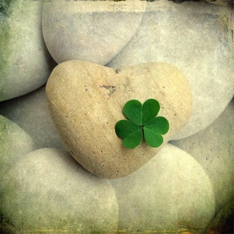 IRISH Hearts - Two gorgeous wave-turned beach-stone hearts decorated with beautiful green shamrocks. An Irish saga of stone surmounted by green.  Two Fine Art Photographic Prints, 10x10