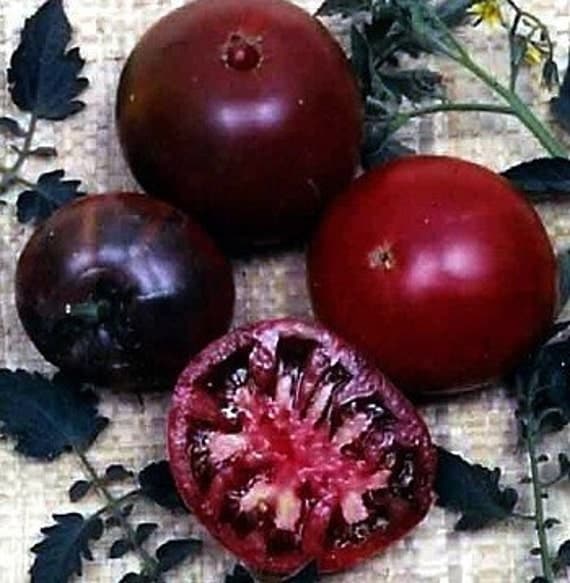 Organic Heirloom Gypsy Black Tomato Non-GMO Garden Vegetable Seed