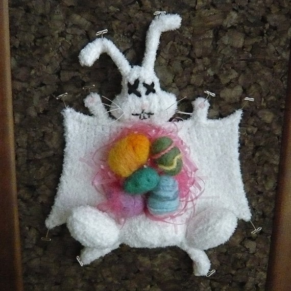 The Easter Bunny donated his body to science