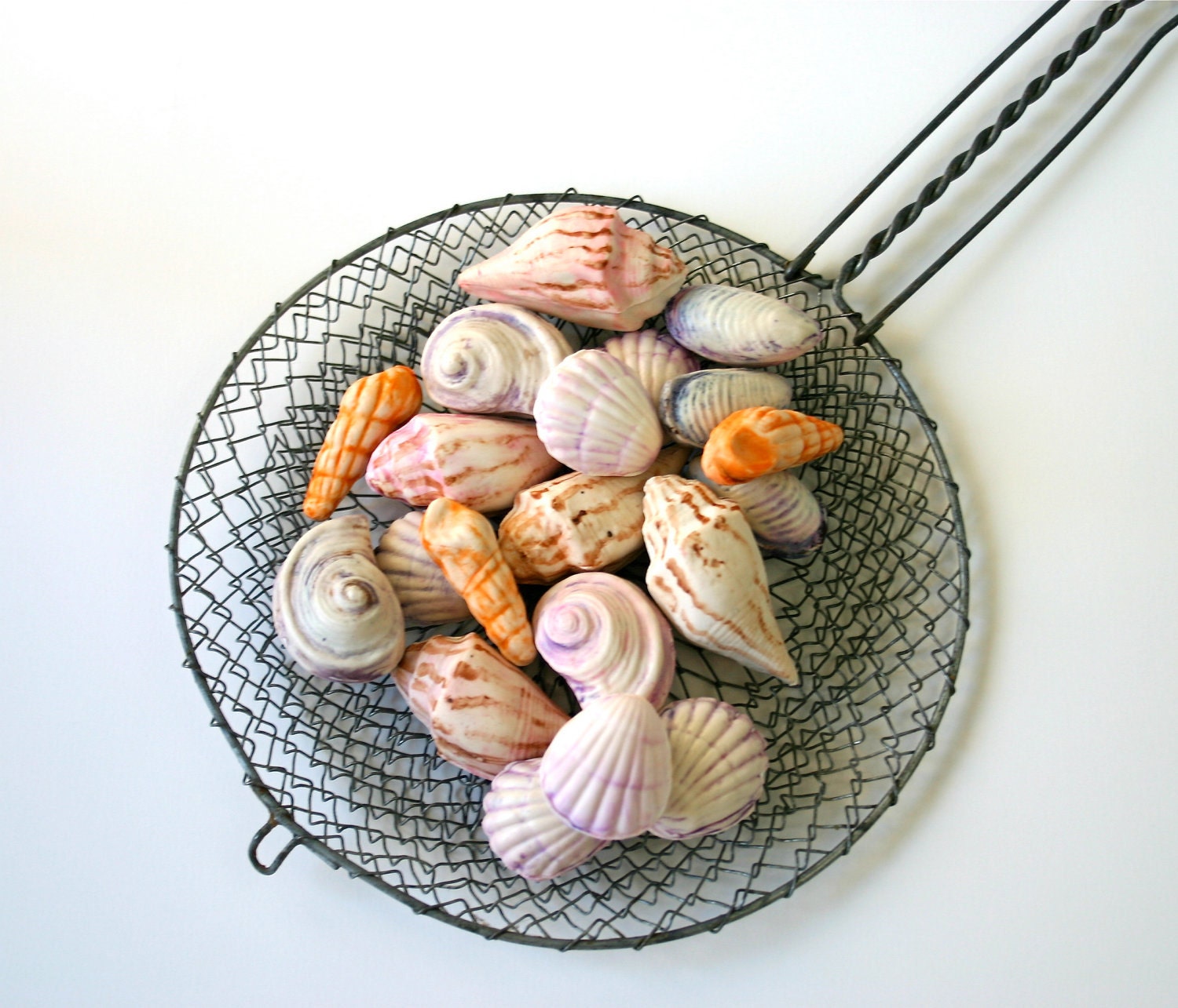 Edible Chocolate Filled Seashells 8
