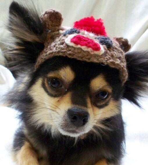 Sock Monkey crocheted dog hat