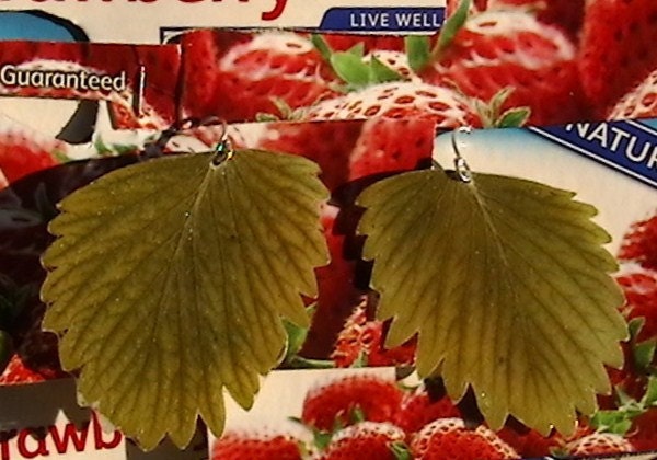 Real Strawberry Leaf and Sterling Silver Simple Earrings  EAWT Folk Reveries STATTEAM etsyLush Upcyclers
