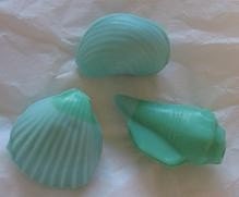Guest Soap Collection - 3D Shells - Customizable 
