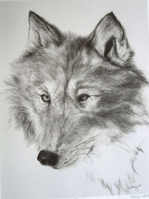 black and white wolf drawings. Black and White Drawing