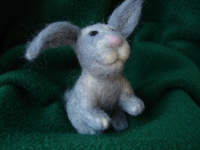 Grey bunny