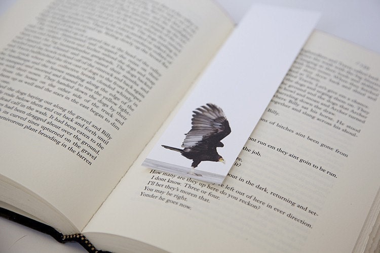 Bookmark Set - Birds