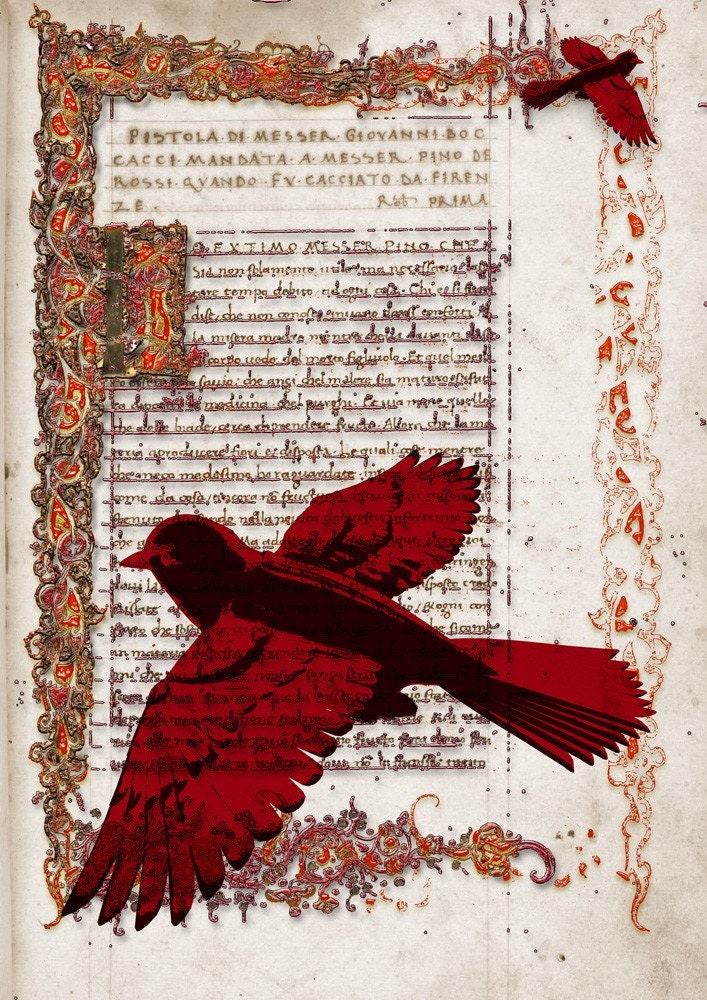 RED DREAM - Poster print collage from an old page manuscript book with so lovely red birds - size 8,268 X 11,693 inches