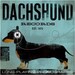 DACHSHUND records album style artwork on canvas original design