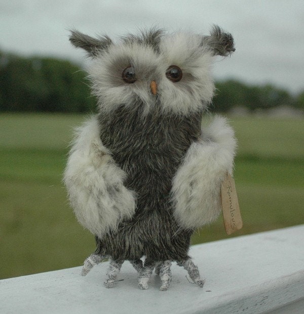 Romulous the Owl