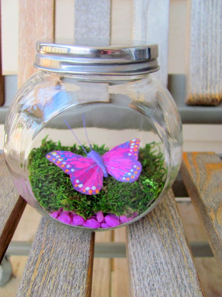 SALE Purple Butterfly Terrarium