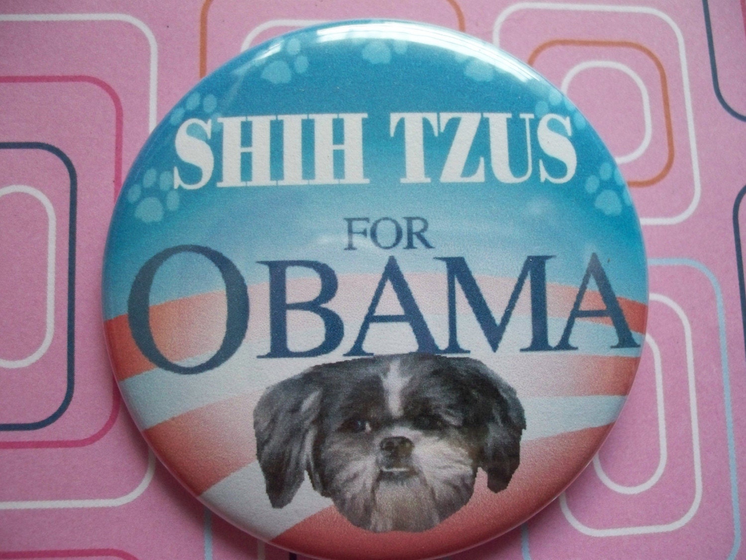 Shih+tzu+dog