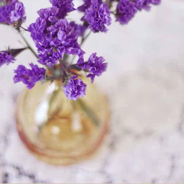 dreamy purple flowers in gold vase