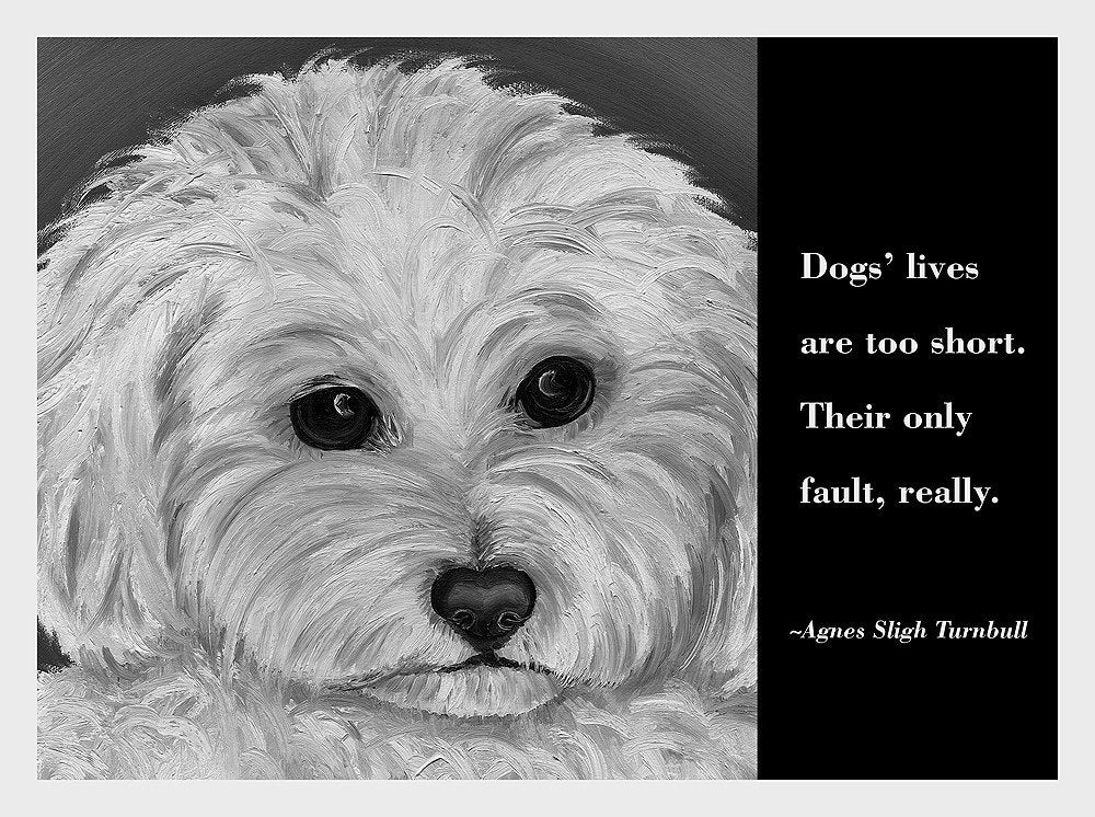 Οι σκύλοι δυστυχώς ζουν τόσο λίγο....