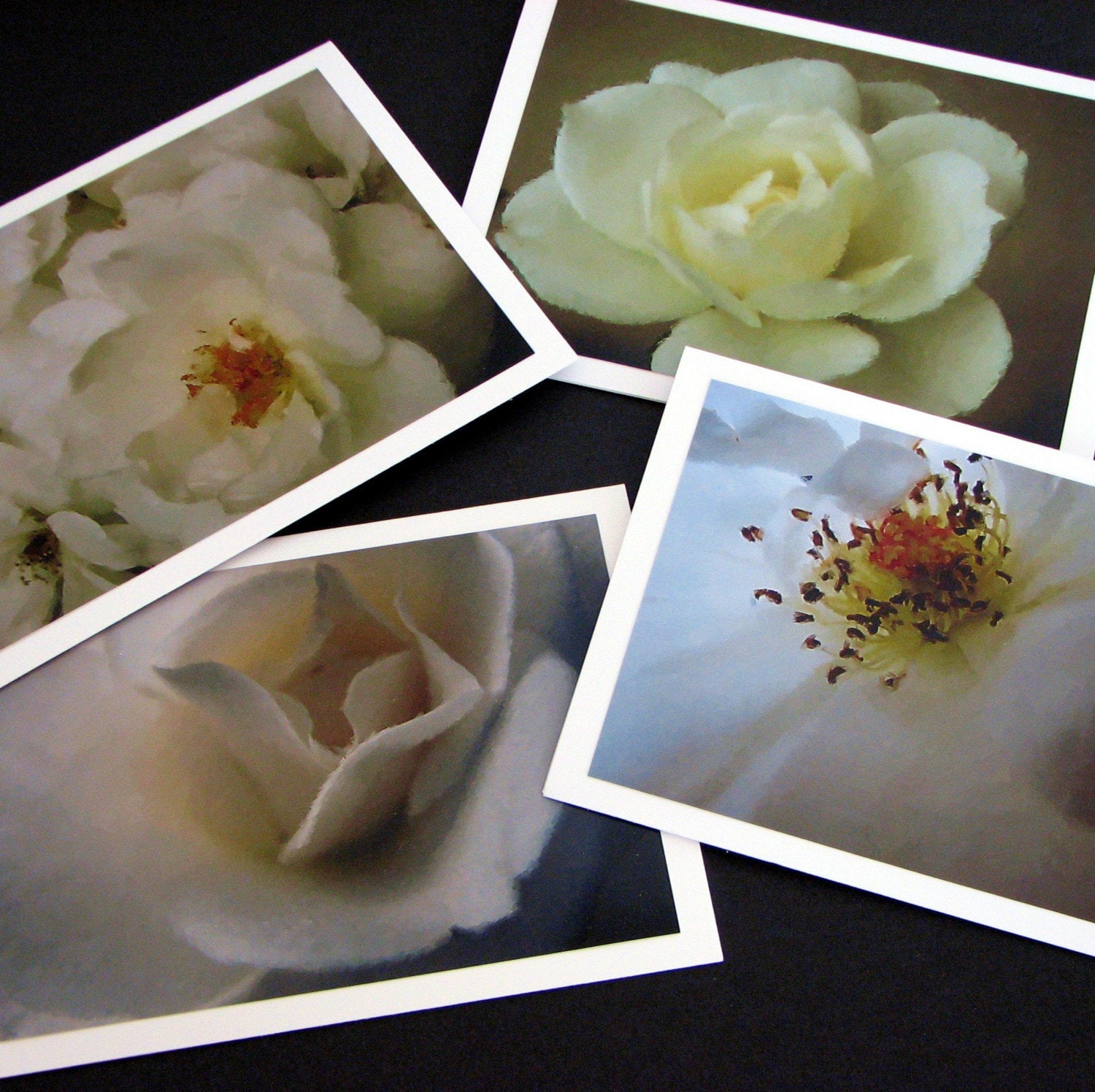 white rose greeting card set