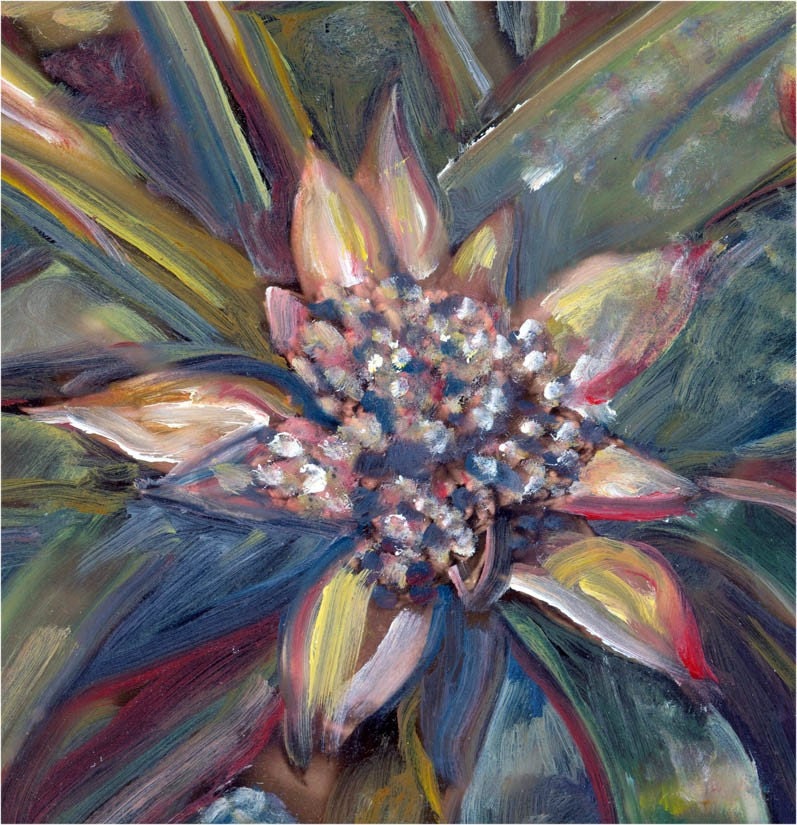 Bromeliad Star Flower Fine Art 