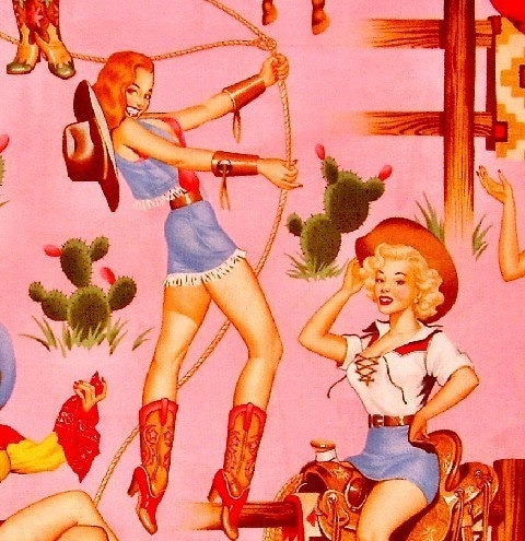 novelty fabric. pinup fabric