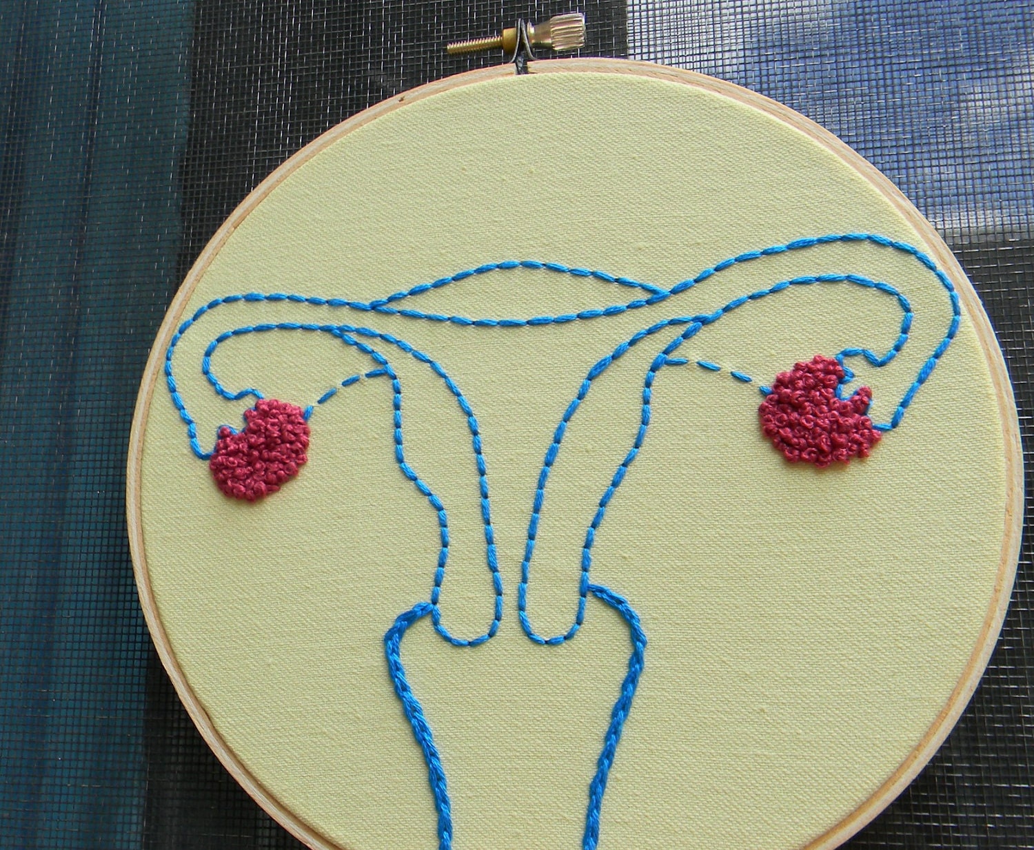 Uterus Anatomy Embroidery Hoop Art. Hand Embroidered.