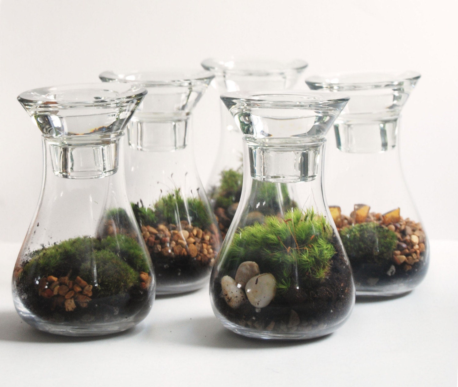 Live Moss Weddings Terrarium Available By Custom Order and Available Southeast Michigan/Toledo Area Only