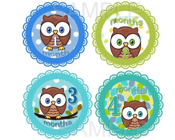 NeW DeSigN - Monthly Baby Onesie Stickers - Cute Cute Baby Owl Boy - 13 Stickers (New Born Sticker Included) - Choose TRANSPARENT or WATERPROOF STICKERS - Perfect Baby Shower Gift - Low Prices and Fast Shipping